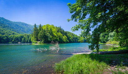 Fototapeta na wymiar Biogradsko lake in national park of Montenegro