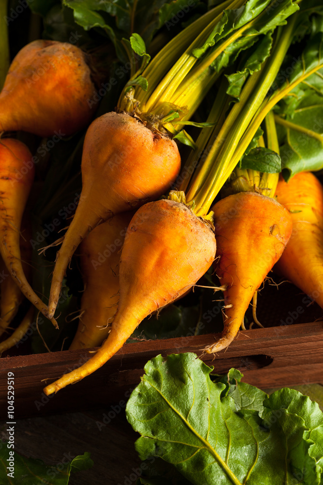 Wall mural Raw Organic Golden Beets