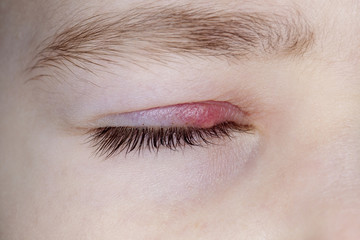 Fototapeta premium stye