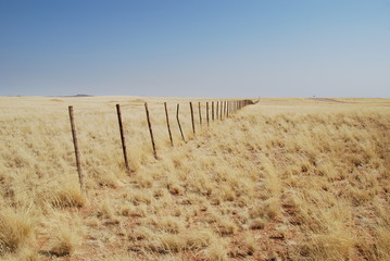 Fence in yellow grass