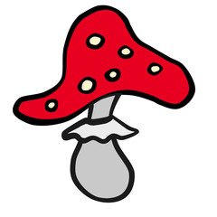 Painted amanita, white background