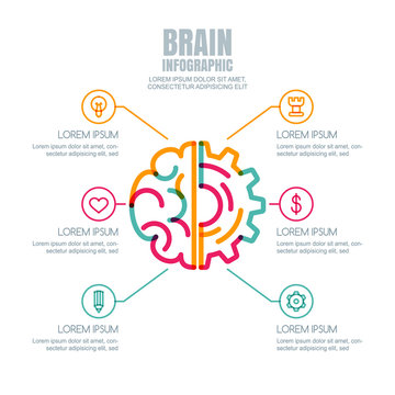 Brain and gear cog, vector infographics design.