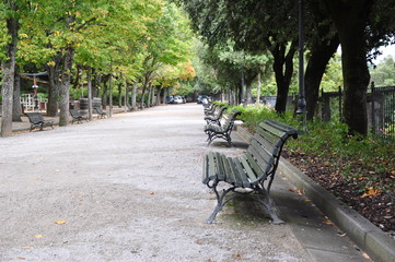 Naklejka premium park