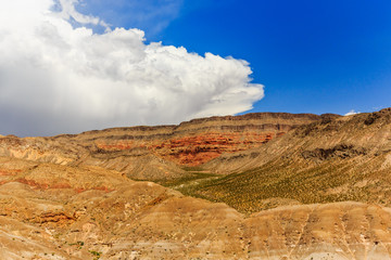 Road 1005, Littlefield, AZ 86432, USA