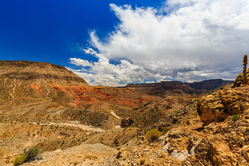 Fototapeta premium Road 1005, Littlefield, AZ 86432, USA