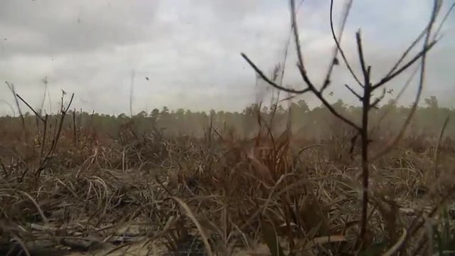 The Osprey CV-22 helicopter takes off.