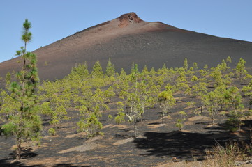 Volcan Negro (Volcan Garachico), Teneriffa