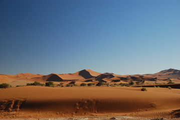 Fototapeta na wymiar Namib dune