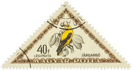 Bird Eurasian golden oriole (Oriolus oriolus) on postage stamp