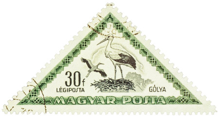 White Stork (Ciconia ciconia) on postage stamp