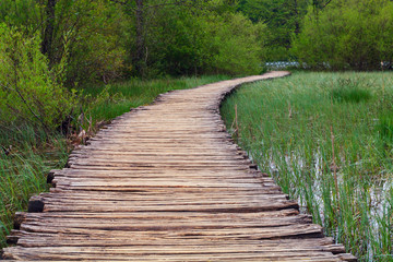 Wood path in the Plitvice national park