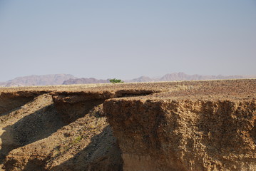 Stony desert plane broken by canyon, green tree and mountains in the background