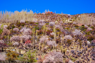 beautiful Landscape of mountain peak in Autumn season. Northern Area of Pakistan