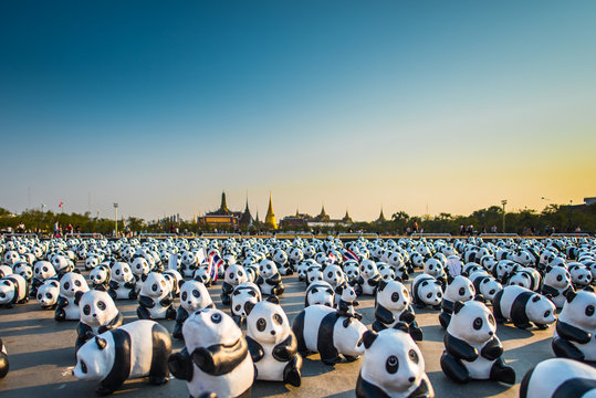 Fototapeta 1600+ of paper sculpture pandas arrive in historical place of Bangkok. Exhibition for wildlife conservation.