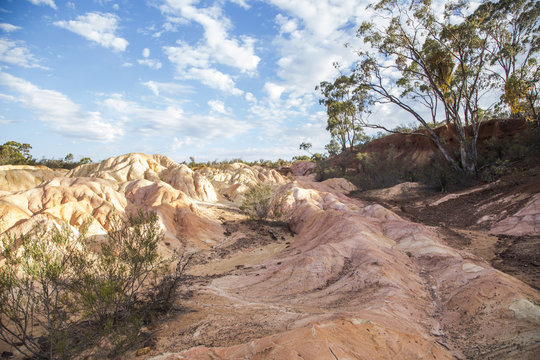 Pink Cliffs. The mini gorges of Pink Cliffs in Heathcote show the pink clay in the foreground and the red Cambrian soil can be seen in the background. 