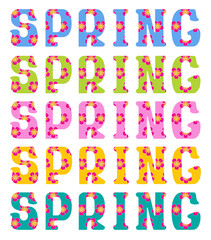 colorful spring flowers in the word vector illustration