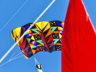 Colorful Kites Blue Sky