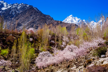 beautiful Landscape of mountain peak in Autumn season. Northern Area of Pakistan