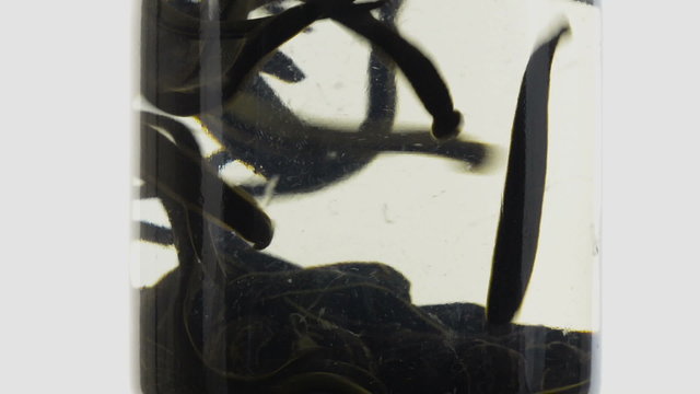 Leech in a glass jar