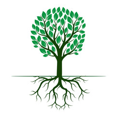 Green tree and Roots. Vector Illustration.