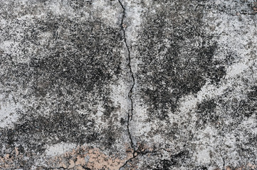 Gray texture of cement