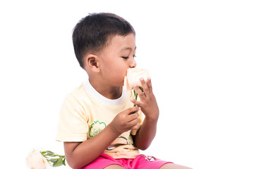 portrait of cute little boy with white rose