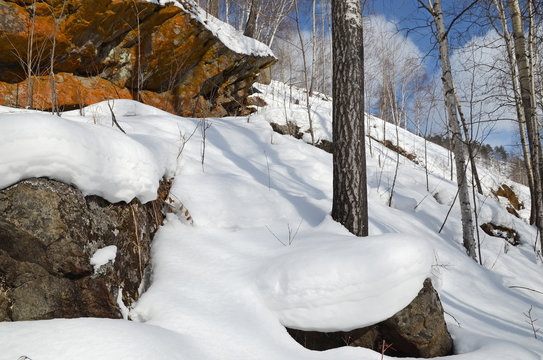 Boulders with snowdrifts in winter forest