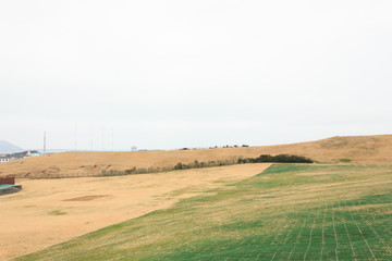 Fototapeta premium Winter landscapes in Jeju Island South Korea