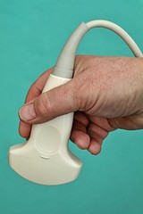 Abdominal convex ultrasound probe held in doctor hand in transversal position