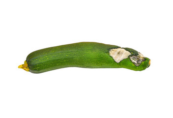 Molded vegetable marrow (zucchini)