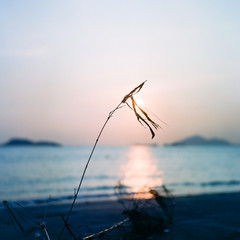 Fototapeta premium sunset