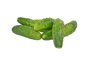 Green cucumber gherkin