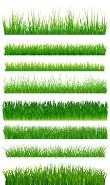 Green grass borders collection over white. Vector illustration