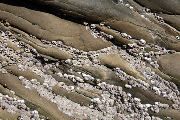 Strandtexturen
