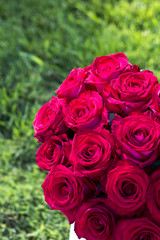 Bouquet of red roses in a box on the grass