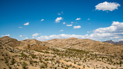 Big Bend National Park