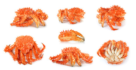 Alaskan king crab in isolated white background