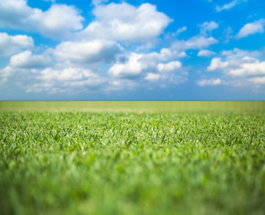 Green grass field under blue sky