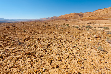Desert