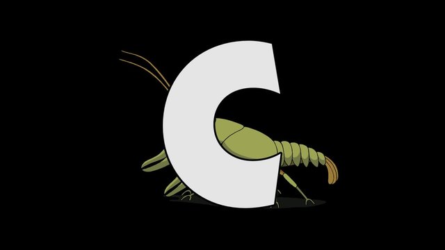 Letter C and Crayfish (background)
Animated animal alphabet. HD footage with alpha channel. Animal in a background of letter.