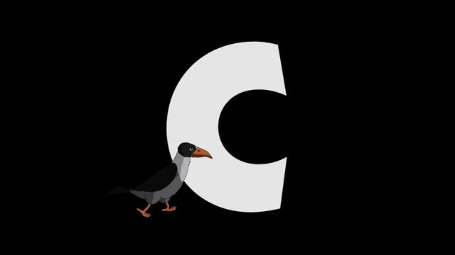 Letter C and Crow  (foreground)
Animated animal alphabet. HD footage with alpha channel. Animal in a foreground of letter.