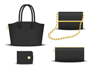 a set of female accessories: bag, clutch, cosmetic bag, purse