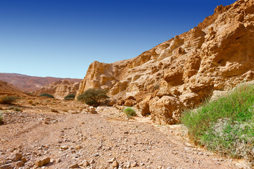 Fototapeta premium Desert in Israel