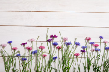 Beautiful colorful cornflowers on wooden background