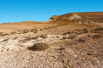 Fototapeta na wymiar Desert in Israel