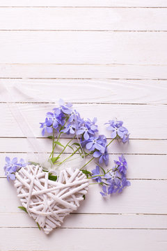 Blue flowers and decorative heart on white painted wooden planks