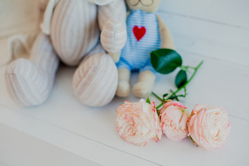 bear doll flower on white background