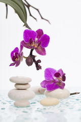 Fototapeta na wymiar White spa stones and oriental flower