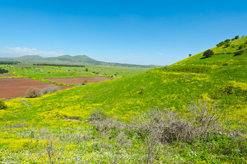 Golan Heights