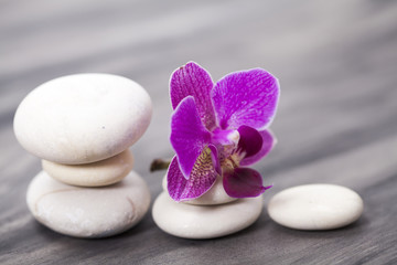 Obraz na płótnie Canvas White spa stones and oriental flower